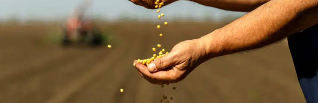 Dicas para cultivar a Presença